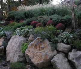 Large rocks border a garden bed with dense green plants, grasses, and round red shrubs.